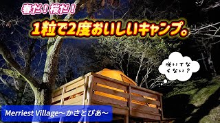 【ファミソロキャンプ】咲いていない桜に囲まれてキャンプ！Naturehike Dune76【Merriest Village ～かさとぴあ～】 [upl. by Ahsykal]