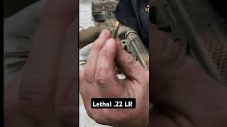 lethal 22 lr shorts airsoft [upl. by Bevin]