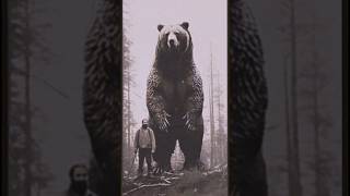 Bogart the largest grizzly beast nightmare giant grizzlybear ai [upl. by Pearman238]