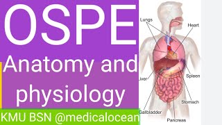 Anatomy and Physiology OSPE BSN 2024 [upl. by Swithin503]