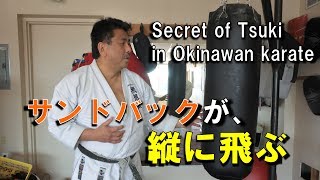 波の動きで縦に跳ね上げる！新垣清の突きの秘訣！Secret of Wave punch in karate Kiyoshi Arakaki [upl. by Nyrrat18]