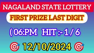 First Prize Last Digit 131024 Nagaland State Lottery Target Number Lottery Sambad Target Number [upl. by Orfinger213]