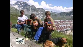 Schwyzerörgeli auf der Alp Binn [upl. by Benedick720]