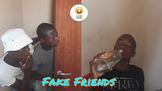 Fake Friends [upl. by Odlabso]