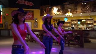 Whiskey River West Cowgirls Dance to Copperhead Road [upl. by Rovner626]