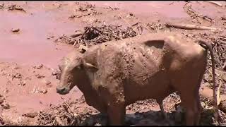 2019 Brumadinho Dam Disaster  Drone Flight [upl. by Duncan]