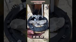 1 3 FARRIER INJECTS 1 3 GEL PAD horse horsecare satisfying shorts viralshorts wood [upl. by Jenna]