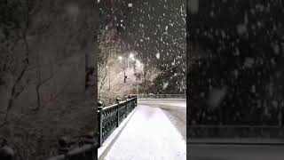 Shimla in December 🥶🥶🌨️🌨️🌠🌌cold shimla himachalpradesh december shorts uniqueboy [upl. by Mir]