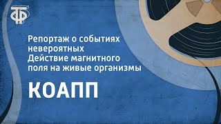 КОАПП Репортаж о событиях невероятных Действие магнитного поля на живые организмы 1980 [upl. by Ahsratan]