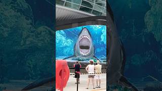 Giant Shark Attacks Aquarium Glass Nassau Bahamas [upl. by Lorollas]