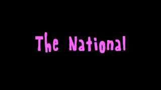 The National Pink Rabbits lyrics onscreen [upl. by Joacima]