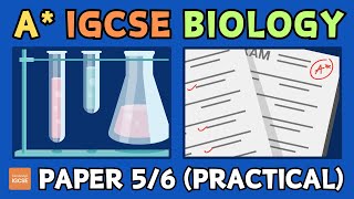 IGCSE Biology  How to get an A in papers 5 and 6 practicalalternative to practical [upl. by Ebert630]