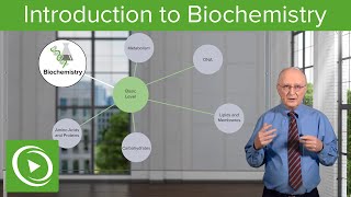 Introduction to Biochemistry – Biochemistry  Lecturio [upl. by Ibloc553]