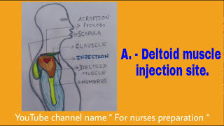 IM INJECTION SITE I INTRAMUSCULAR INJECTION SITE I HOW TO LOCATE INTRAMUSCULAR INJECTION SITES I FNP [upl. by Alurta]