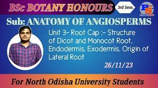 Root Cap Structure of Dicot and Monocot Root Endodermis Exodermis Origin of Lateral Root [upl. by Lednem]