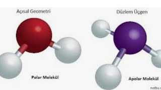 Molekül polar lıgı veya apolarlıgı [upl. by Oby]