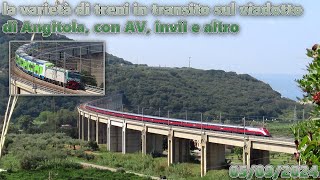 la varietà di treni in transito sul viadotto di Angitola con AV invii e altro ♦ 05092024 [upl. by Rita]