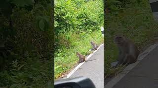 Koh Lanta On the Main Road Thailand [upl. by Dahsra]