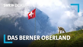 Das Berner Oberland – Ein Sommer in den Schweizer Alpen  SWR Doku [upl. by Clari]