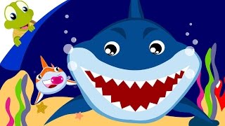 Baby Shark Song  Animal Songs with lyrics [upl. by Dinah587]