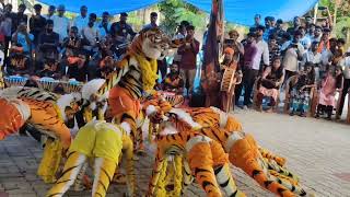 manipal tigers manipal first year pilli dance🐯🐯🐯pilinalike [upl. by Norda]