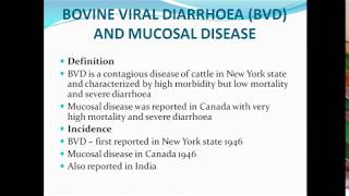 Bovine Viral DiarrhoeaMucosal Disease ppt [upl. by Akema]