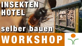 Insektenhotel selber bauen  Das Outdoorstudio für Naturfotografen [upl. by Farmer40]