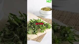 How often do you use oregano healthyeating [upl. by Rihsab173]