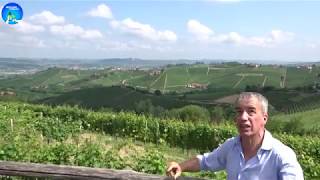 Aldo Vacca of Produttori del Barbaresco Cru Vineyards Walk Through Part 1 [upl. by Ewall]