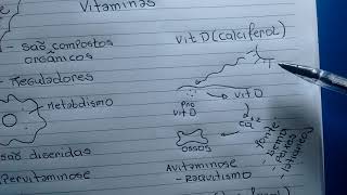 Vitaminas classificação e avitaminose [upl. by Yttisahc]