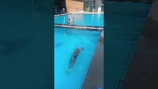 7 years old boy under water swimming [upl. by Aramois]