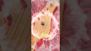 Schecter PT Special short [upl. by Abrahan]