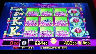 Richtig Schick Gezockt Merkur amp Novomatic Mit Vollgas am Spielautomat Das hat sich GELOHNT [upl. by Espy]