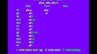 Latin 1st amp 2nd Declension Adjective altus alta altum [upl. by Nosnirb]