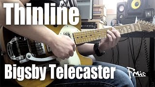 FluffyMusic Thinline Bigsby Telecaster Custom [upl. by Eicyak950]