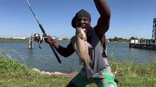 Getting on some Mangrove Snappers by docks Freeport TX karolinastrikers bankfishing [upl. by Nivri]