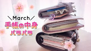 〖手帳の中身〗３月のシステム手帳の中身パラパラ🌸⋆ 手帳の中身 moterm fILOFAX decona [upl. by Amanda]