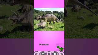 Dinosaur in Real World shorts dinosaur dino animals animallover stampede [upl. by Hareehat]