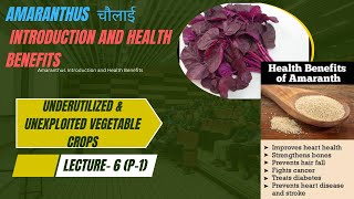 Lecture 6 P1Amaranthus चौलाई या राजगिरा and Health Benefits  BSc MSc amp PhD ICARNET [upl. by Nairoc632]