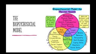 The Biopsychosocial Model  SACE Psychology [upl. by Haldas86]