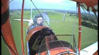 Tiger Moth Clips Cow [upl. by Sarad]