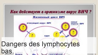 Les lymphocytes sont réduits  quelles maladies peuvent causer la lymphopénie [upl. by Genevieve760]