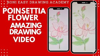 How to draw amazing poinsettia flower for beginnerseasy draw poinsettia flowers with colour pencil [upl. by Rancell]