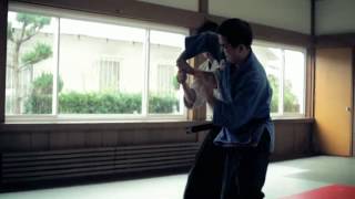 Jujitsu amp Aikido 20 [upl. by Ontine644]