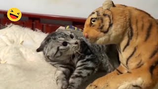 New Funny Animals 🐧  Try not to laugh CATS And DOGS Video Compilation 😺🐶 [upl. by Chilson]