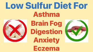 Low Sulfur Diet for Asthma Brain Fog Digestion Anxiety Eczema and SIBO [upl. by Cadel]