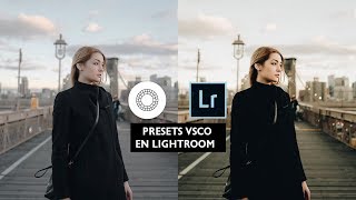 Presets Vsco Para Lightroom  Presets Lightroom Gratis  Efectos Para Fotos [upl. by Eceer]