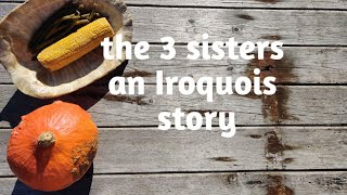 the 3 sisters an Iroquois story Histories for kids [upl. by Ailasor71]