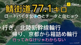 【ロードバイク女子の北陸自転車旅】鯖街道サイクリング完結編 [upl. by Winston363]