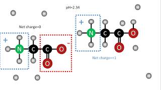 Biochemistry  pKa of amino acids [upl. by Durgy]